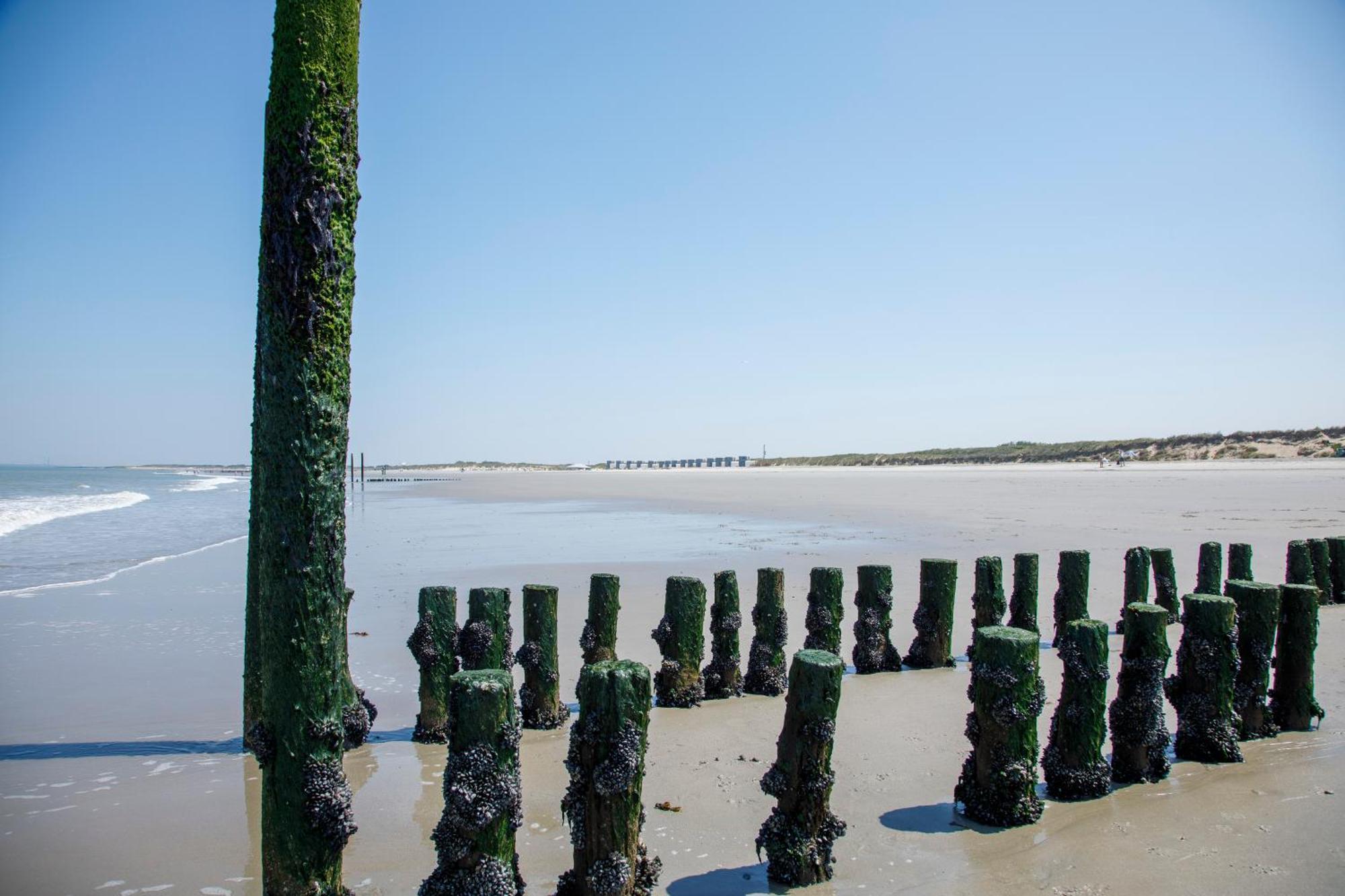 Zonneweelde, Vakantie Aan Zee نيوفليت المظهر الخارجي الصورة